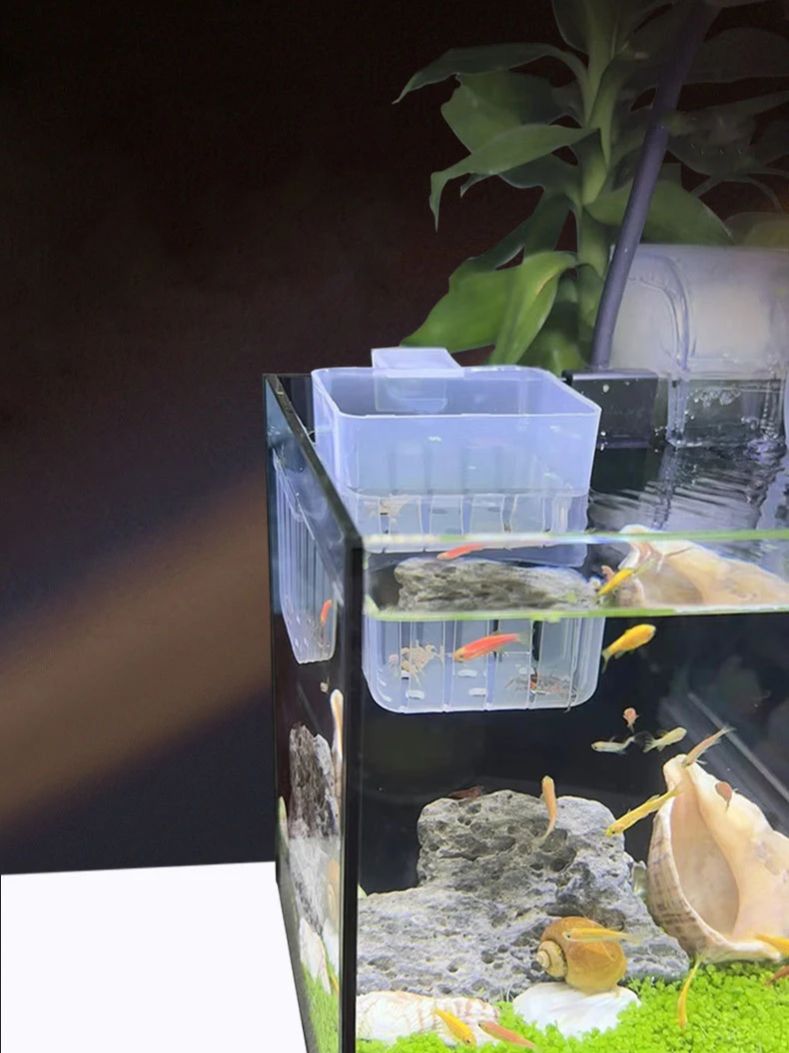 水槽用透明水耕栽培バスケット 壁掛け式上陸植物スタンド -  - Aquarium Plant Rings のレビューと価格