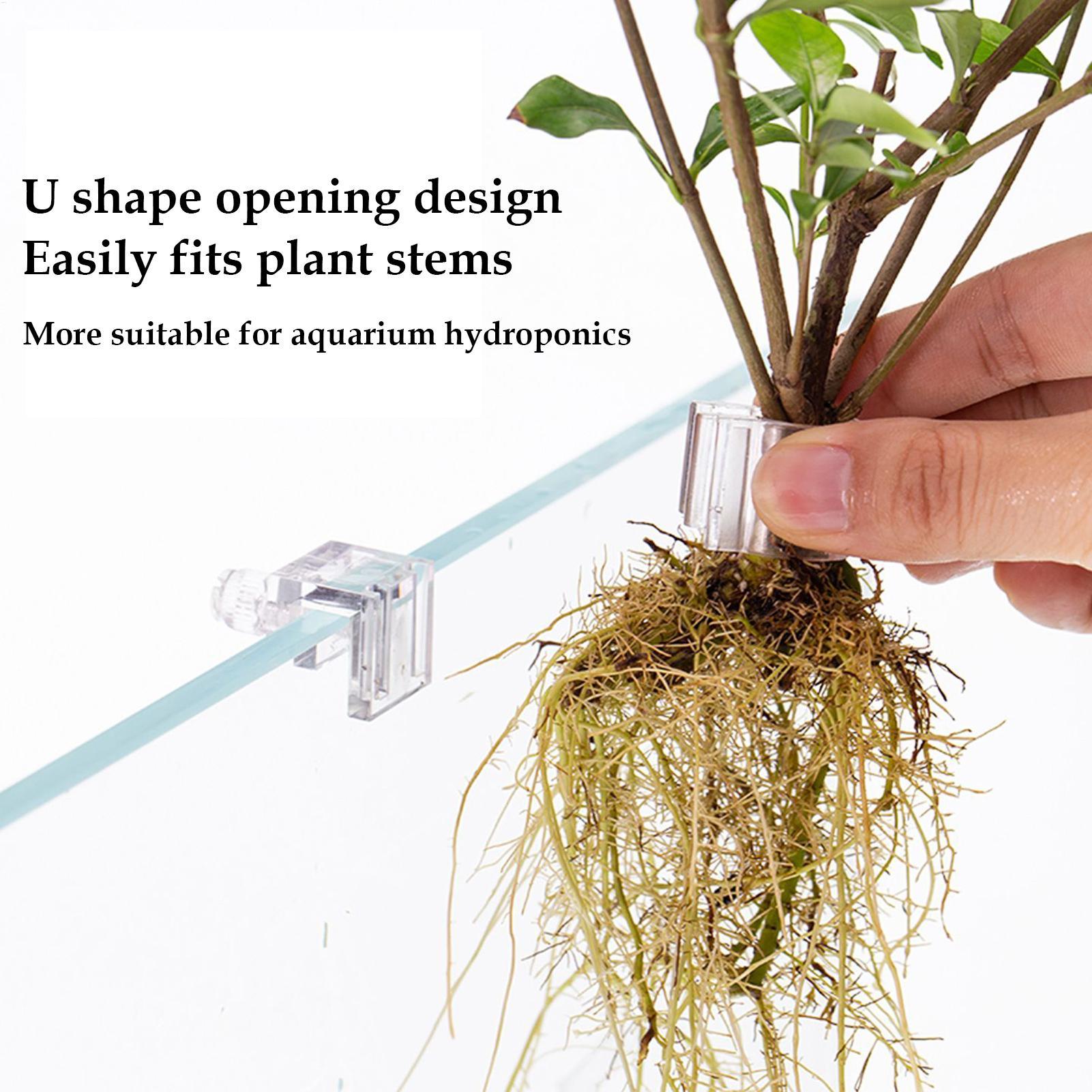 水槽植物バスケット透明水槽吊り下げ装飾ポット水生植物ホルダー - Aquarium Plant Rings のレビューと価格