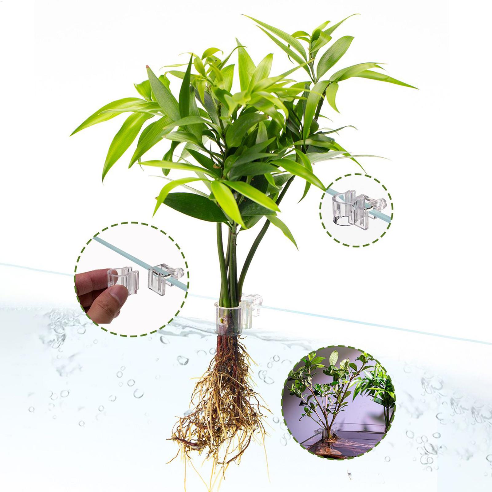 水槽植物バスケット透明水槽吊り下げ装飾ポット水生植物ホルダー - Aquarium Plant Rings のレビューと価格