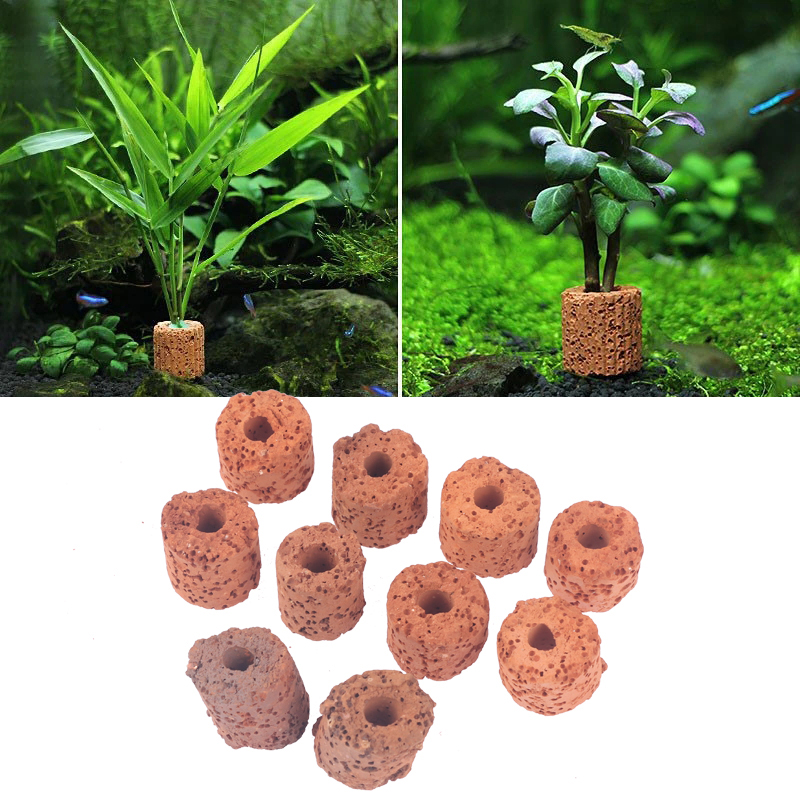 ^10個入り 水槽用植物固定リング 水槽フィルター用ウェイト - Aquarium Plant Rings のレビューと価格