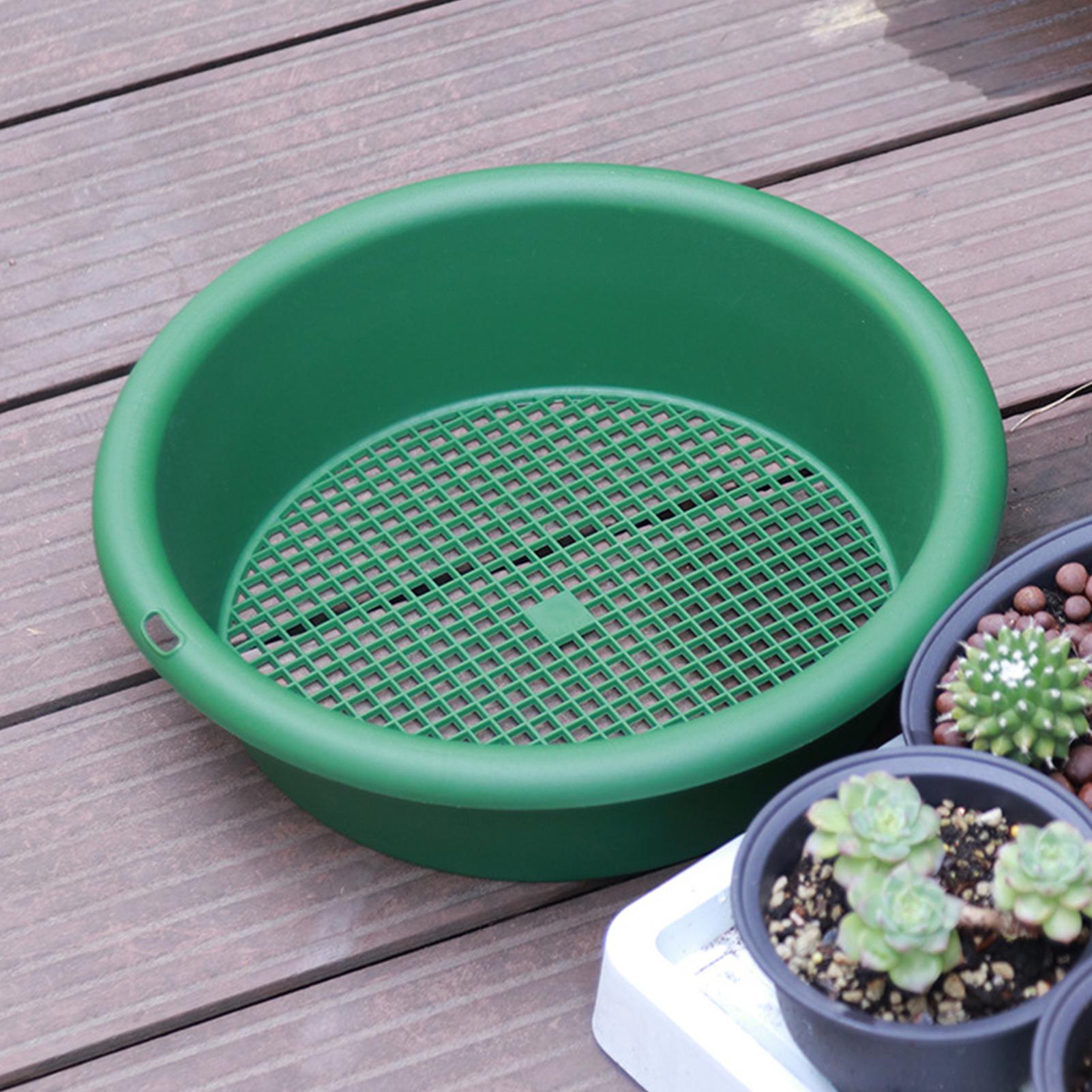 岩石用ふるい機 防錆ペレットふるい機 メッシュスクリーン 金 - Tissue Culture Plant のレビューと価格