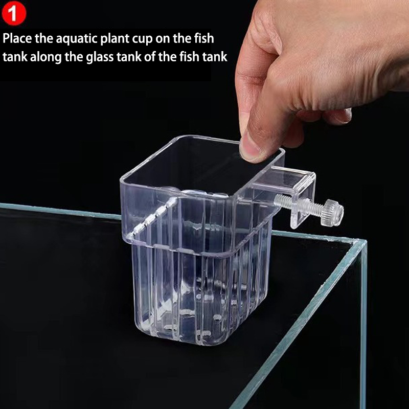 多機能フィッシュ水族館、水草植栽カップ、魚の分離ボックス、水 - Planted Aquarium With Fish のレビューと価格