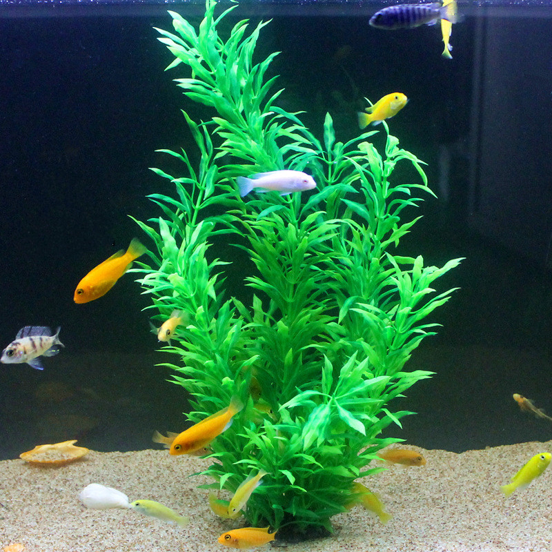 人工水槽50cm,珍しい植物,水族館,偽の竹の葉,水草,プラ - Aquarium Plant Design のレビューと価格