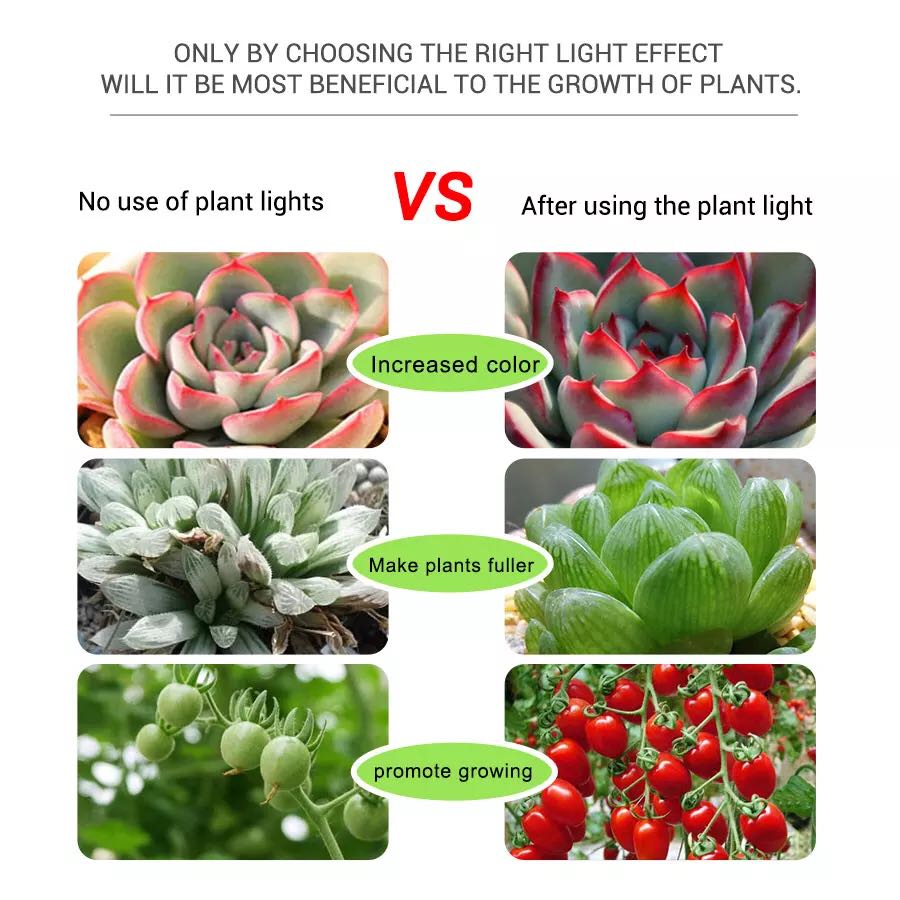 植物栽培用LEDストリップライト,5V,USB,フィトテープ - Planted Aquarium Hours のレビューと価格