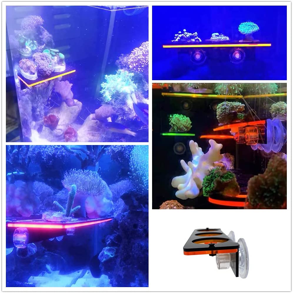 蛍光サンゴフラグプラグブラケット成長ホルダーアクリルラックマ - Aquarium Plant Holder のレビューと価格