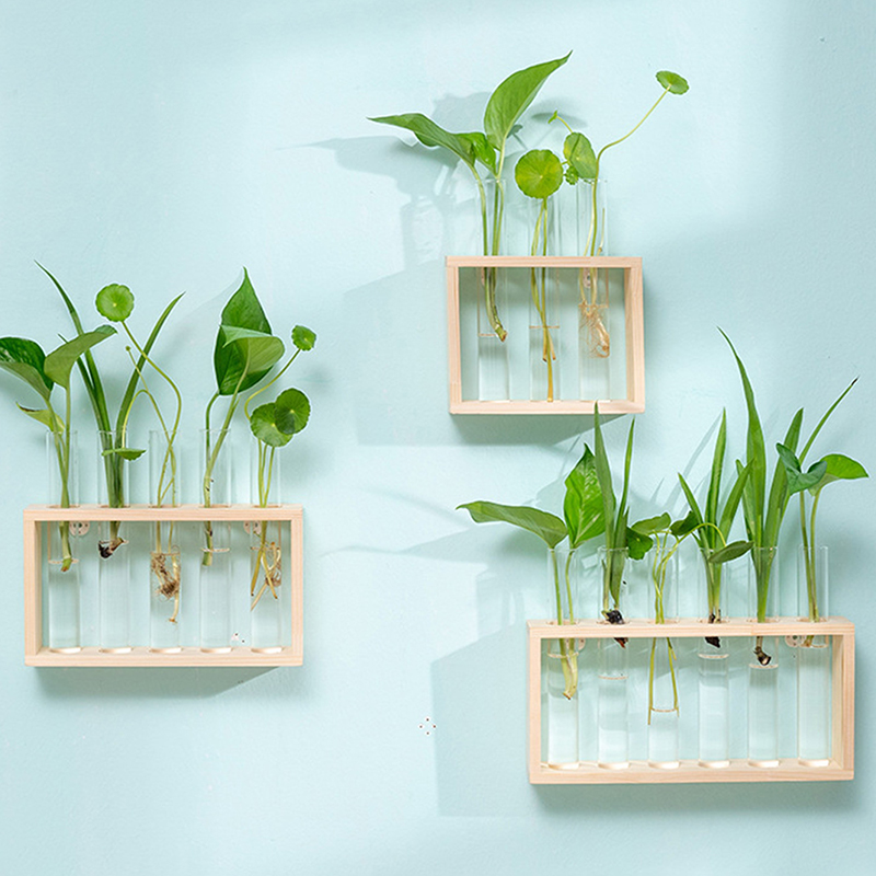 水耕植物コンテナ木製フレーム透明ガラス試験管花瓶植木鉢ホーム - Tissue Culture Plant のレビューと価格