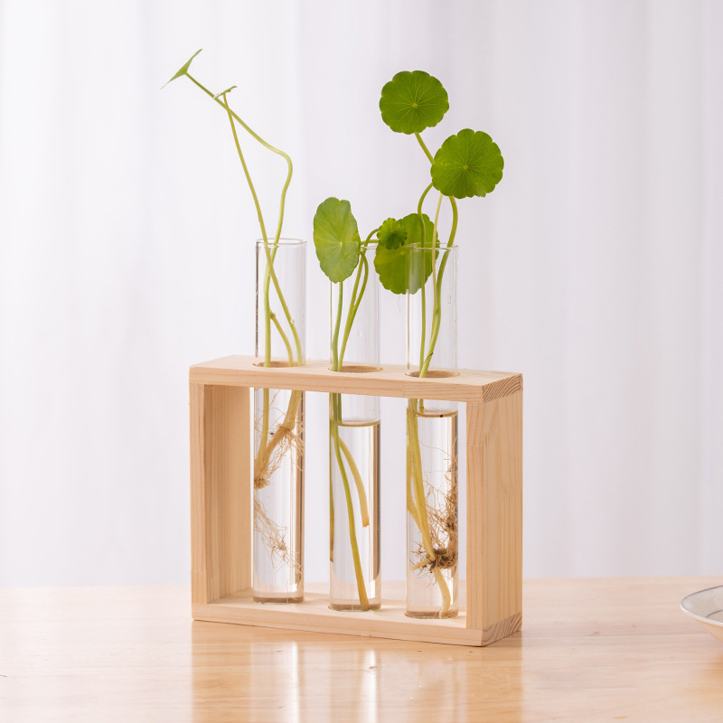 水耕植物コンテナ木製フレーム透明ガラス試験管花瓶植木鉢ホーム - Tissue Culture Plant のレビューと価格