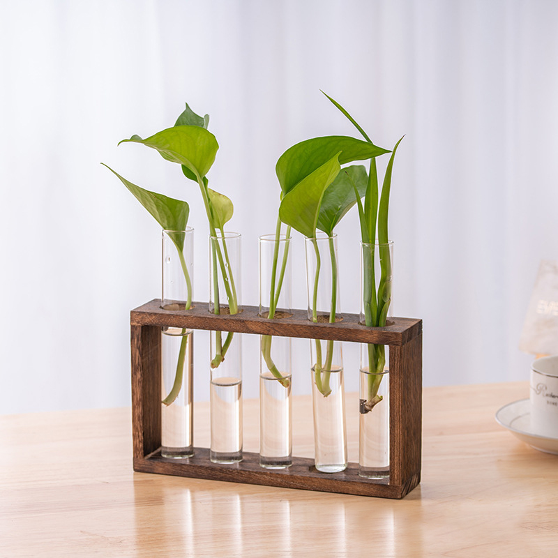 水耕植物コンテナ木製フレーム透明ガラス試験管花瓶植木鉢ホーム - Tissue Culture Plant のレビューと価格