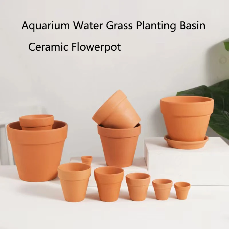 水族館の装飾,水草,水玉,鉢植え,シリンダーカップ,セラミッ - Aquarium Plant Rings のレビューと価格