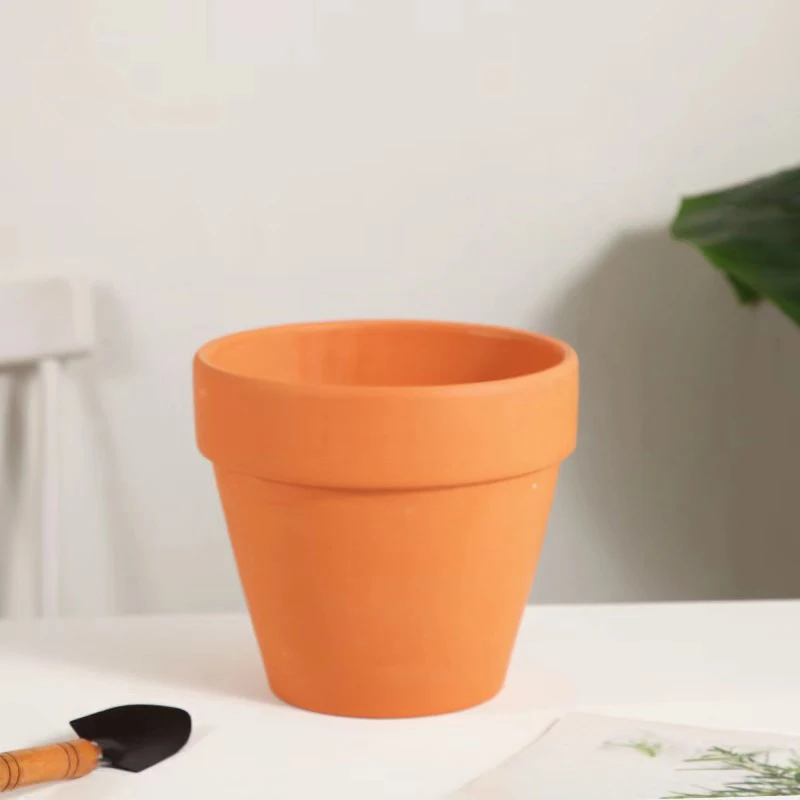 水族館の装飾,水草,水玉,鉢植え,シリンダーカップ,セラミッ - Aquarium Plant Rings のレビューと価格