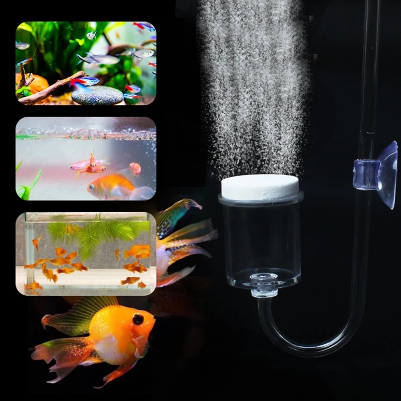 水族館用CO2ディフューザー,日曜大工のガラスタンク,バブル - Planted Aquarium Moss のレビューと価格