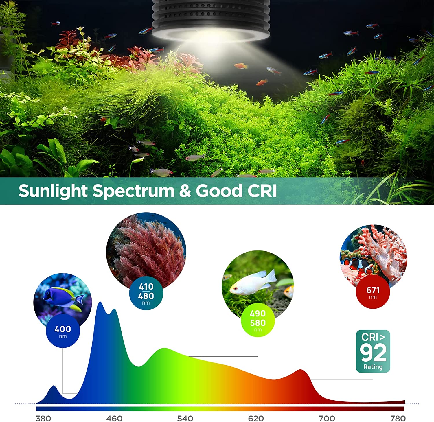 Lominie Asta 20 淡水 18 ワット RGBW - Planted Aquarium Uv Light のレビューと価格