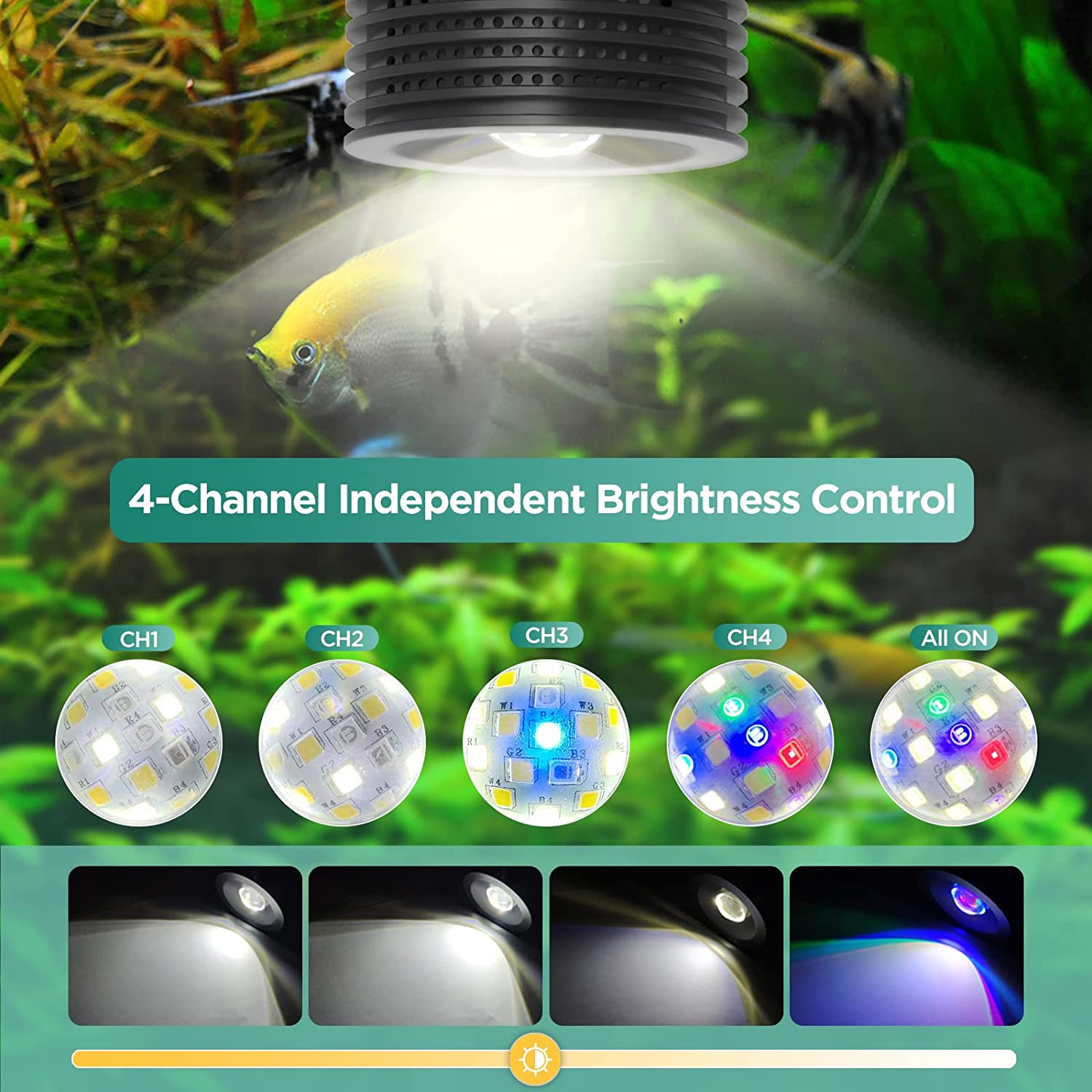 Lominie Asta 20 淡水 18 ワット RGBW - Planted Aquarium Uv Light のレビューと価格