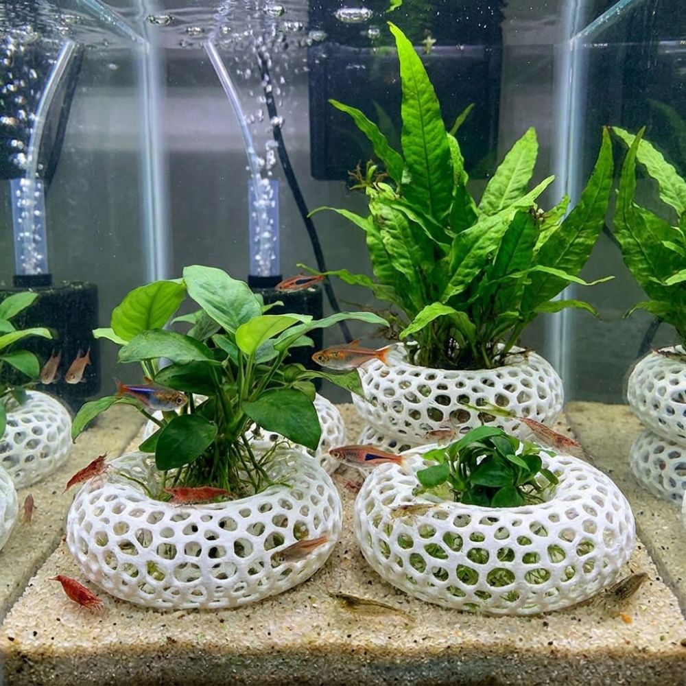 3Dプリント製魚エビ隠れ家 広視野多孔質構造水槽魚シェルター - Planted Aquarium Moss のレビューと価格