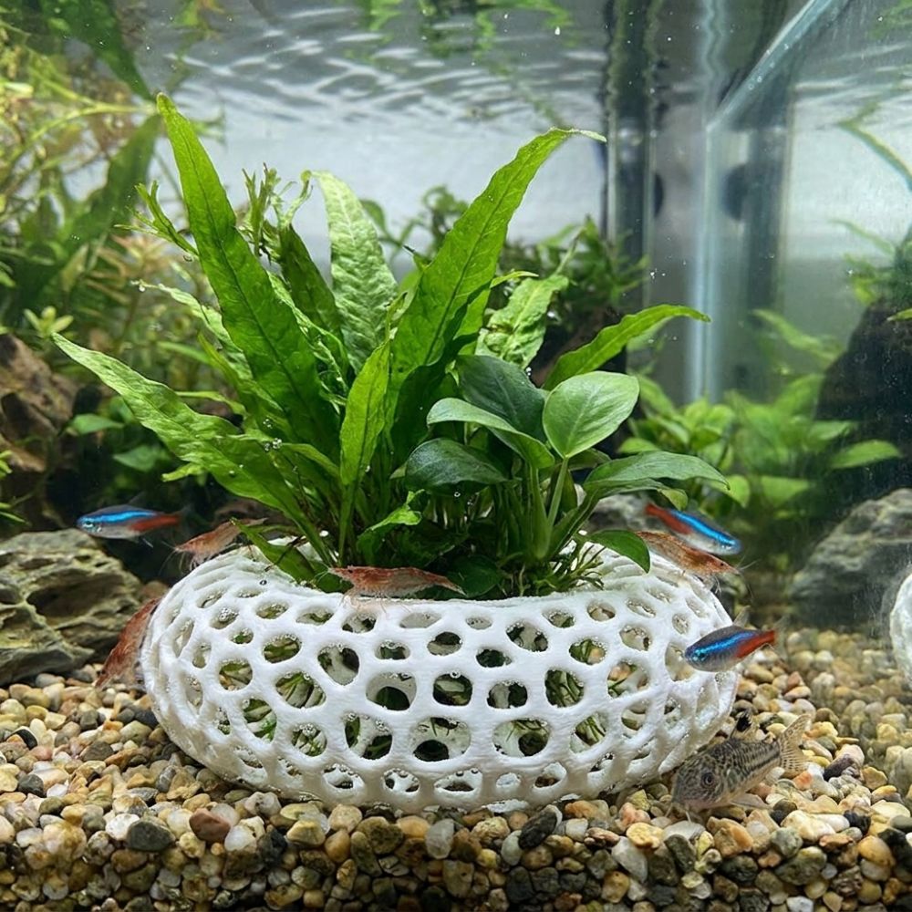 3Dプリント製魚エビ隠れ家 広視野多孔質構造水槽魚シェルター - Planted Aquarium Moss のレビューと価格