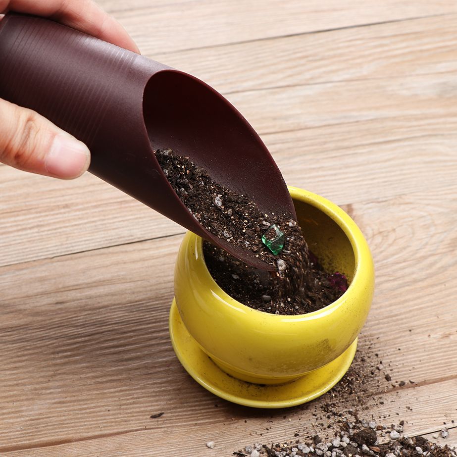 プラスチック製の庭の手入れ用の芝生の形をしたポーチ,植物が付 - Tissue Culture Plant のレビューと価格
