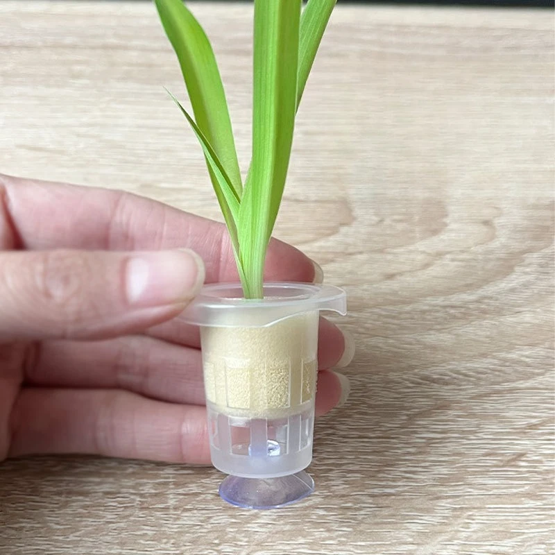 50 個/10 個水族館植栽バスケット水生植物カップ水耕鉢植 - Aquarium Plant Holder のレビューと価格