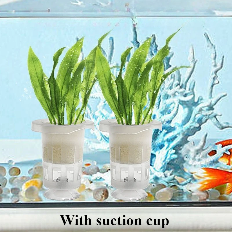 50 個/10 個水族館植栽バスケット水生植物カップ水耕鉢植 - Aquarium Plant Holder のレビューと価格